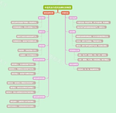 中医托法与信托法律关系概览