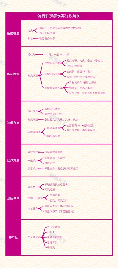 流行性斑疹伤寒知识导图