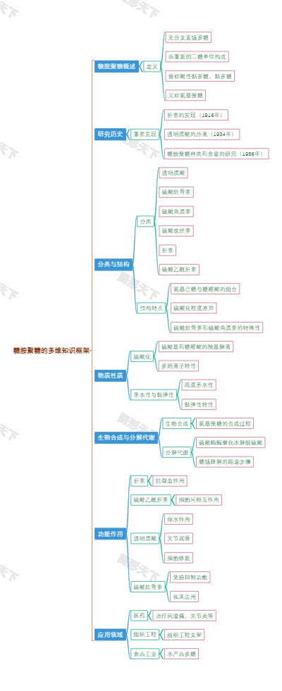 糖胺聚糖的多维知识框架