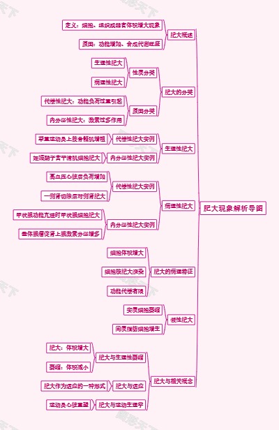 肥大现象解析导图