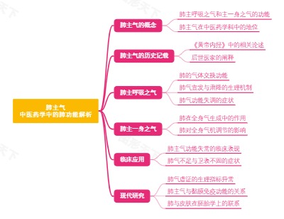 肺主气：中医药学中的肺功能解析