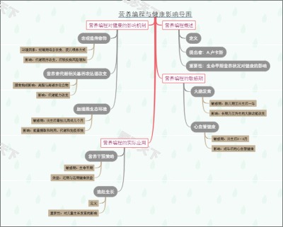 营养编程与健康影响导图