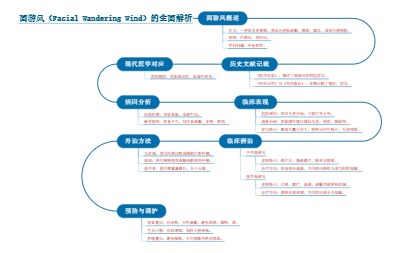 面游风（Facial Wandering Wind）的全面解析