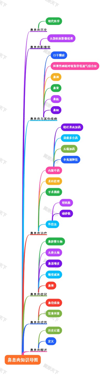 鼻息肉知识导图