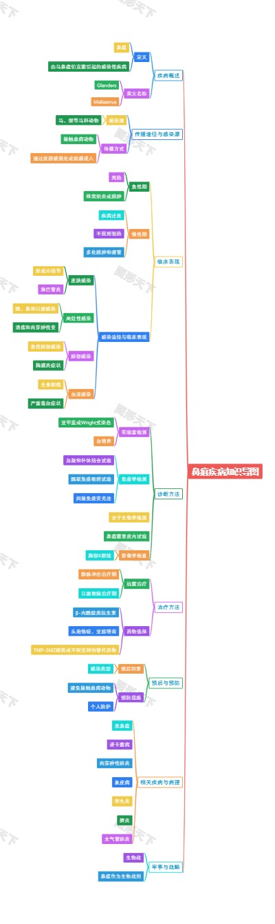 鼻疽疾病知识导图