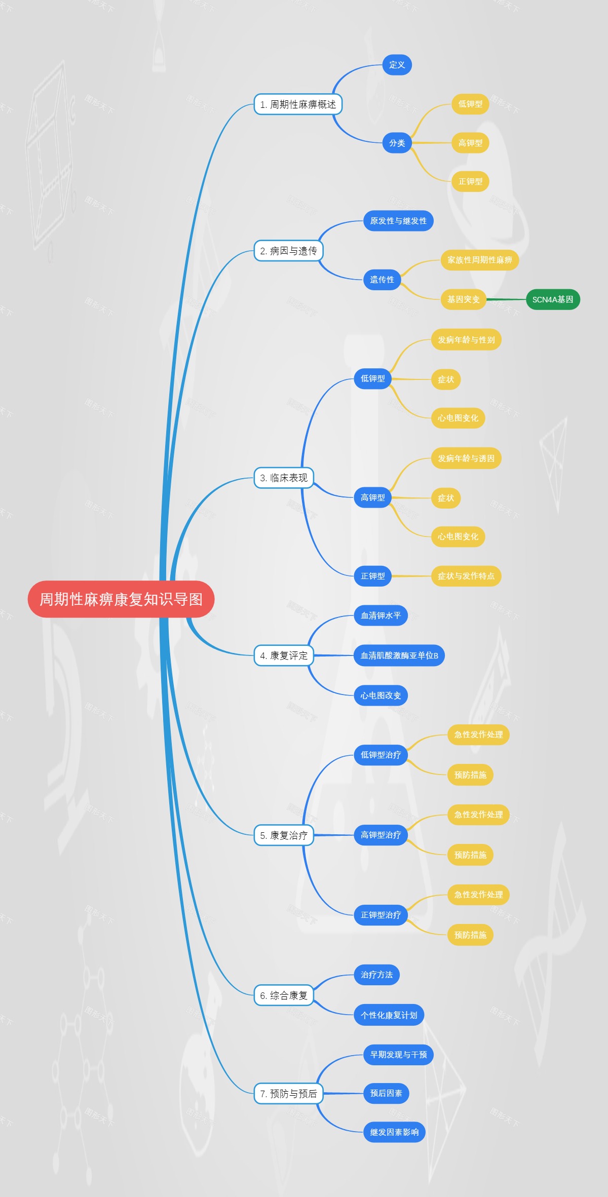 周期性麻痹康复知识导图