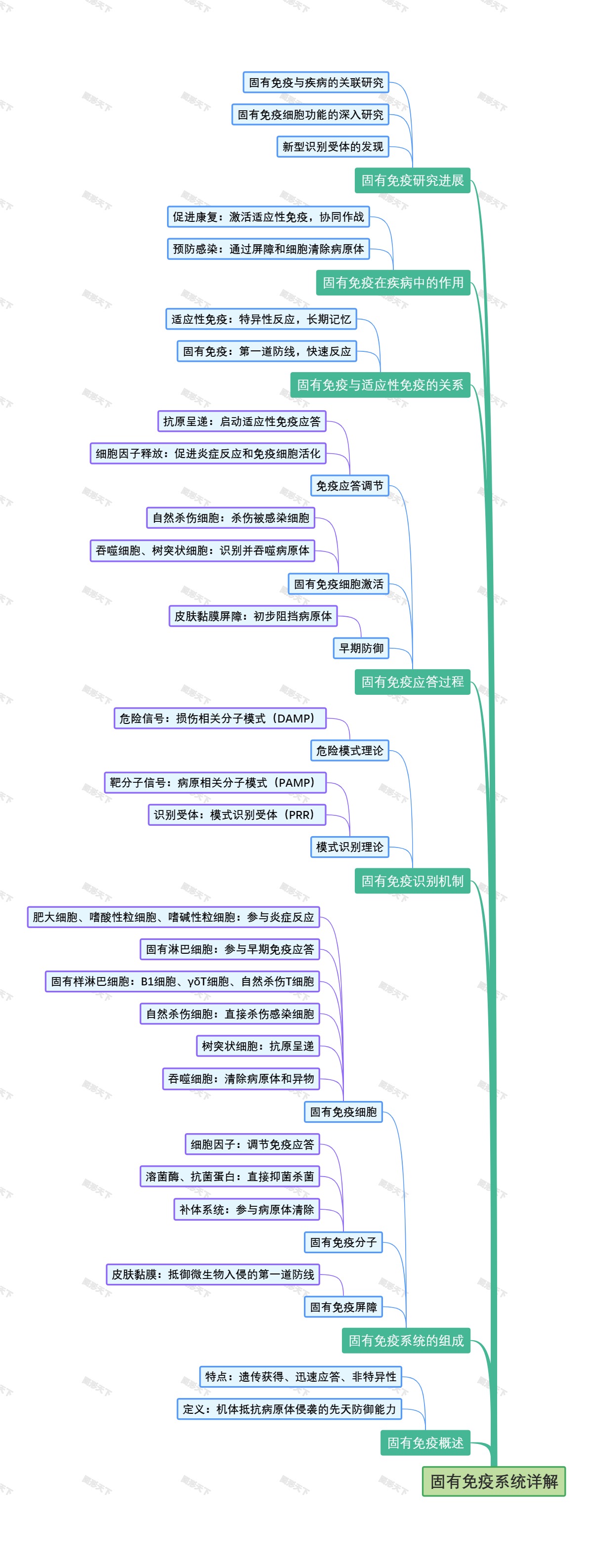 固有免疫系统详解