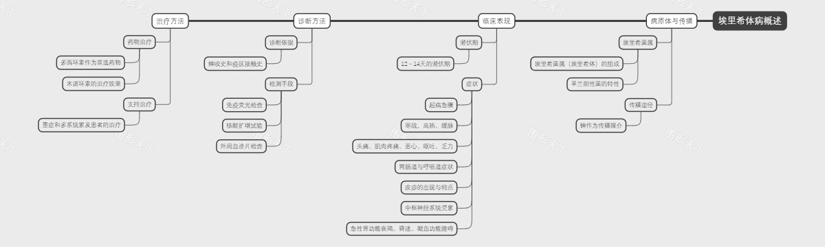 埃里希体病概述