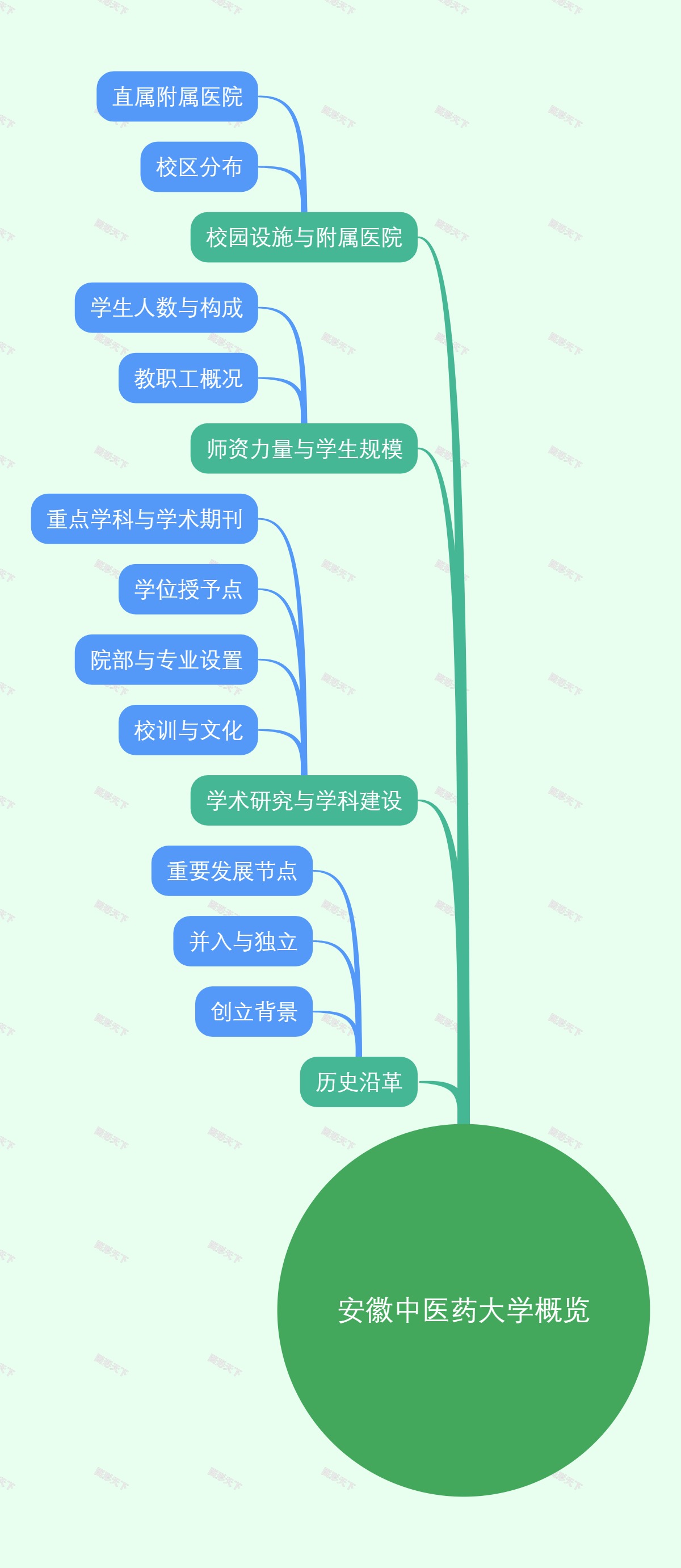 安徽中医药大学概览