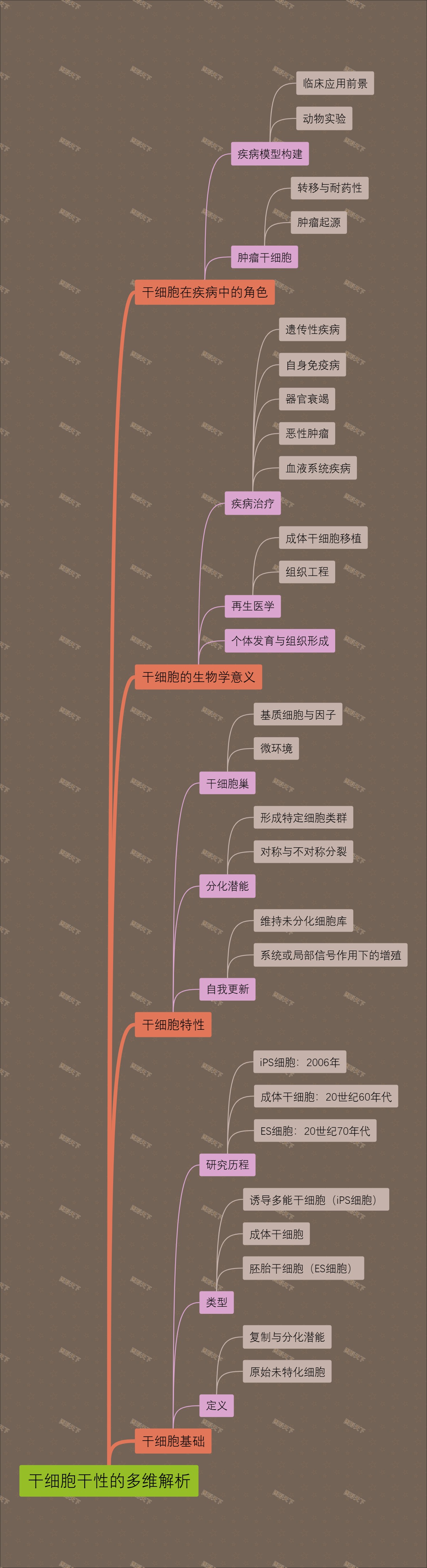 干细胞干性的多维解析
