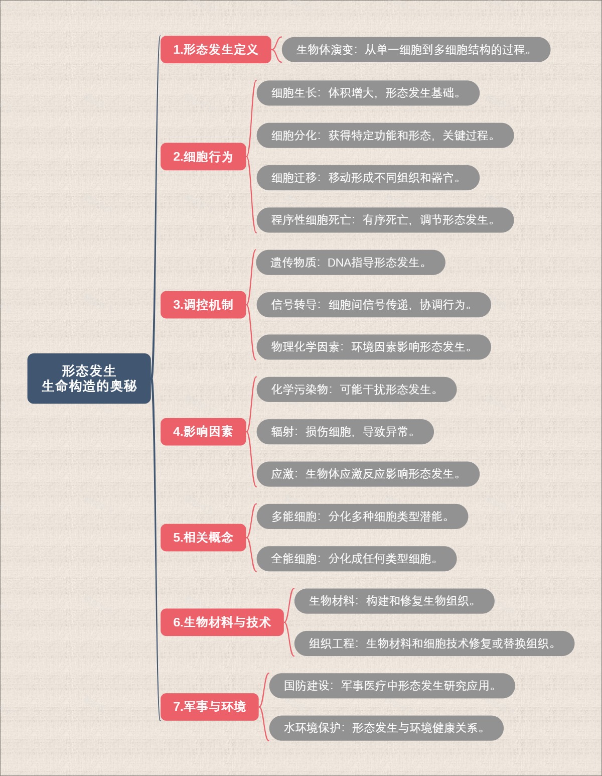 形态发生：生命构造的奥秘