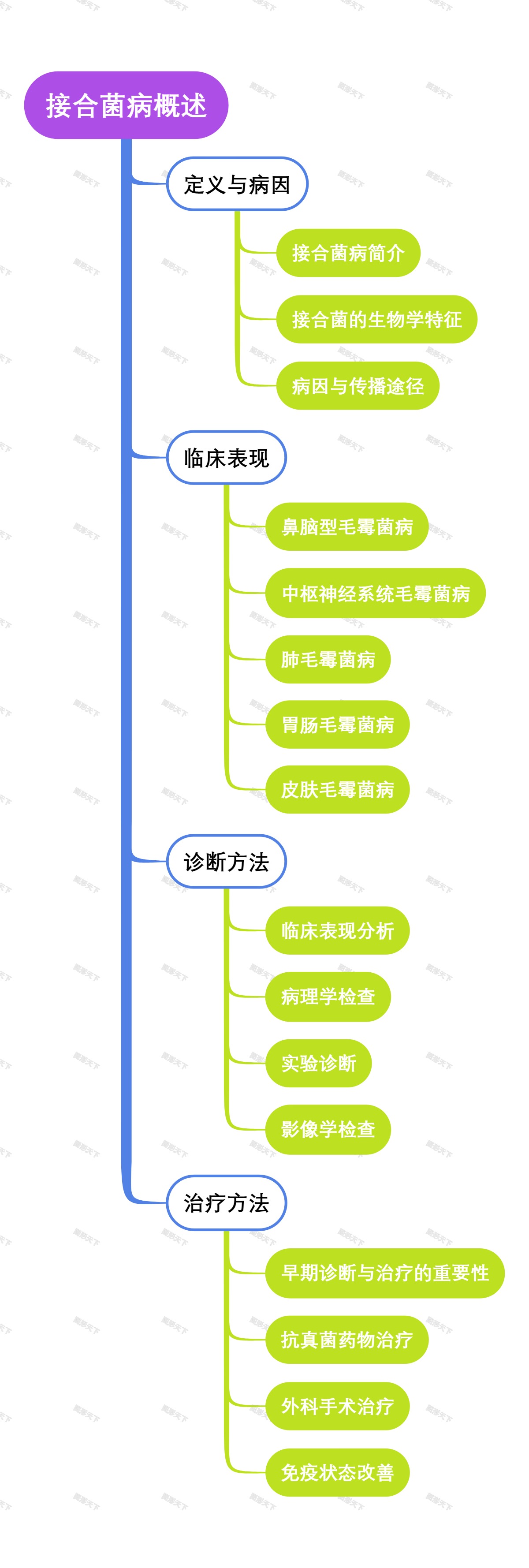 接合菌病概述