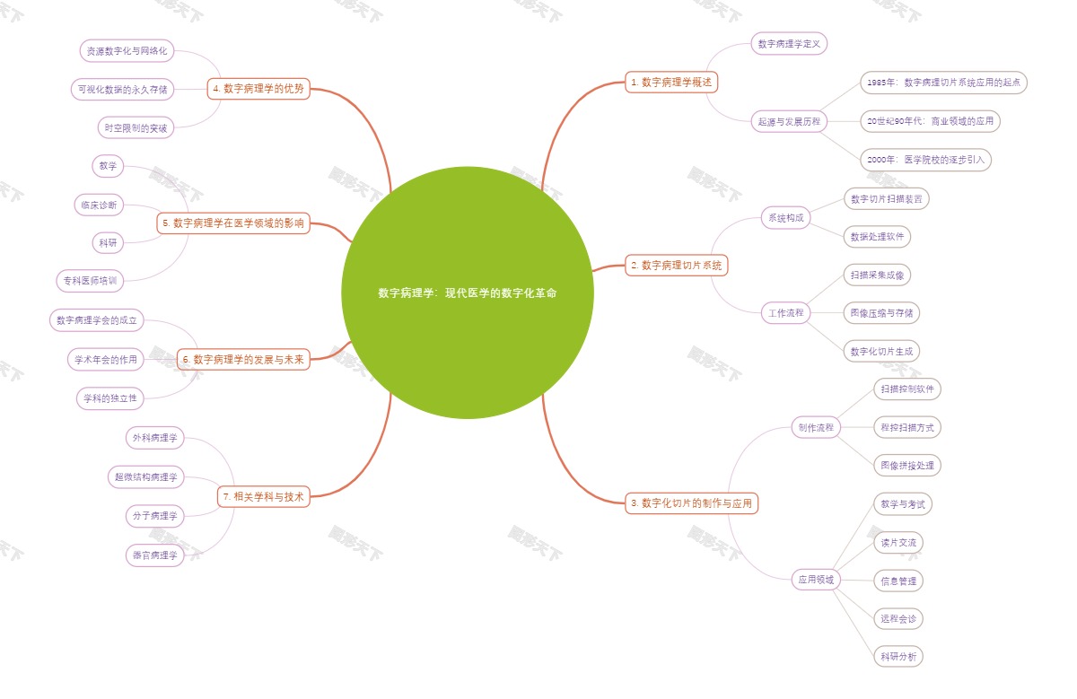 数字病理学：现代医学的数字化革命