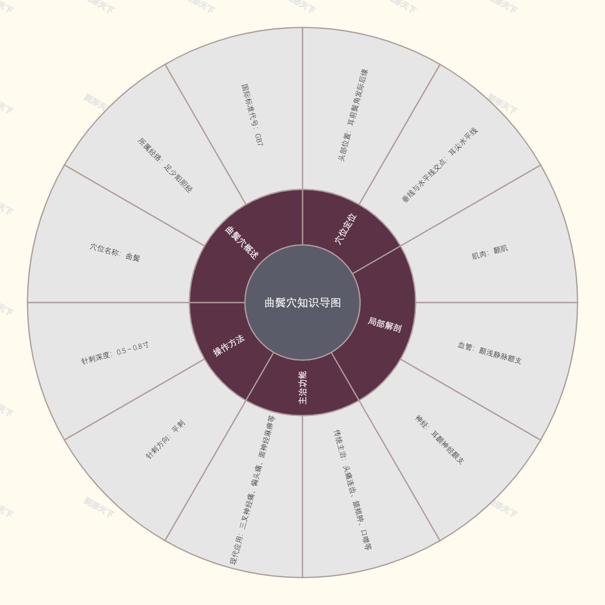 曲鬓穴知识导图