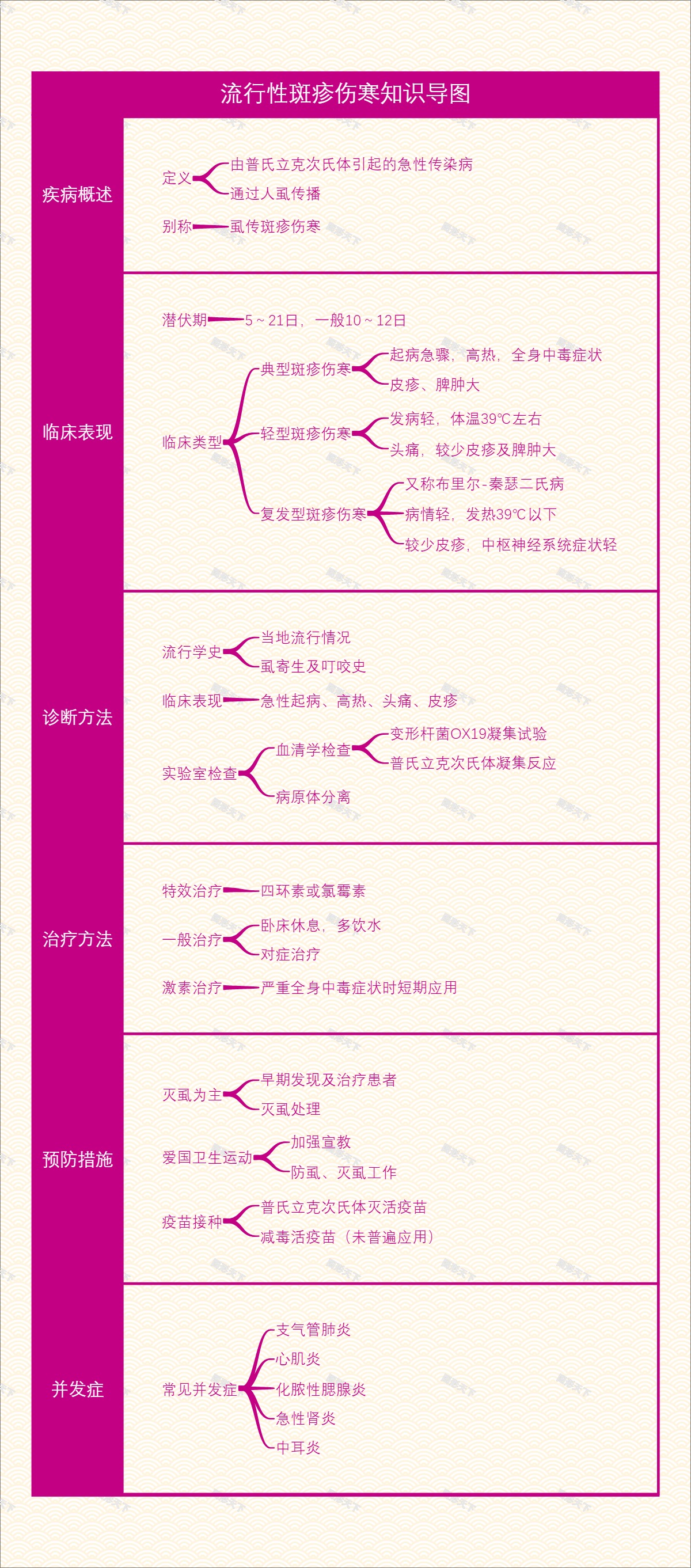 流行性斑疹伤寒知识导图