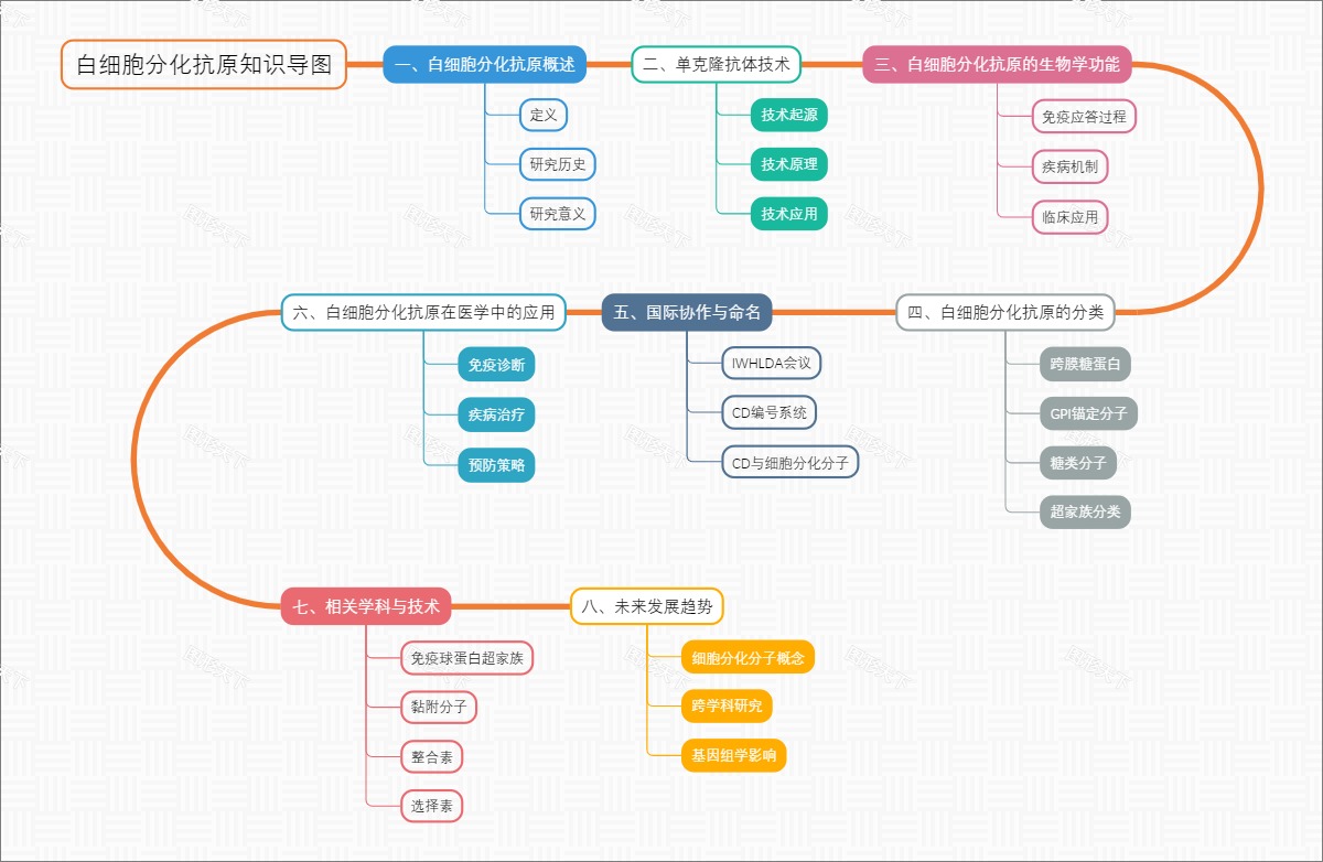 白细胞分化抗原知识导图