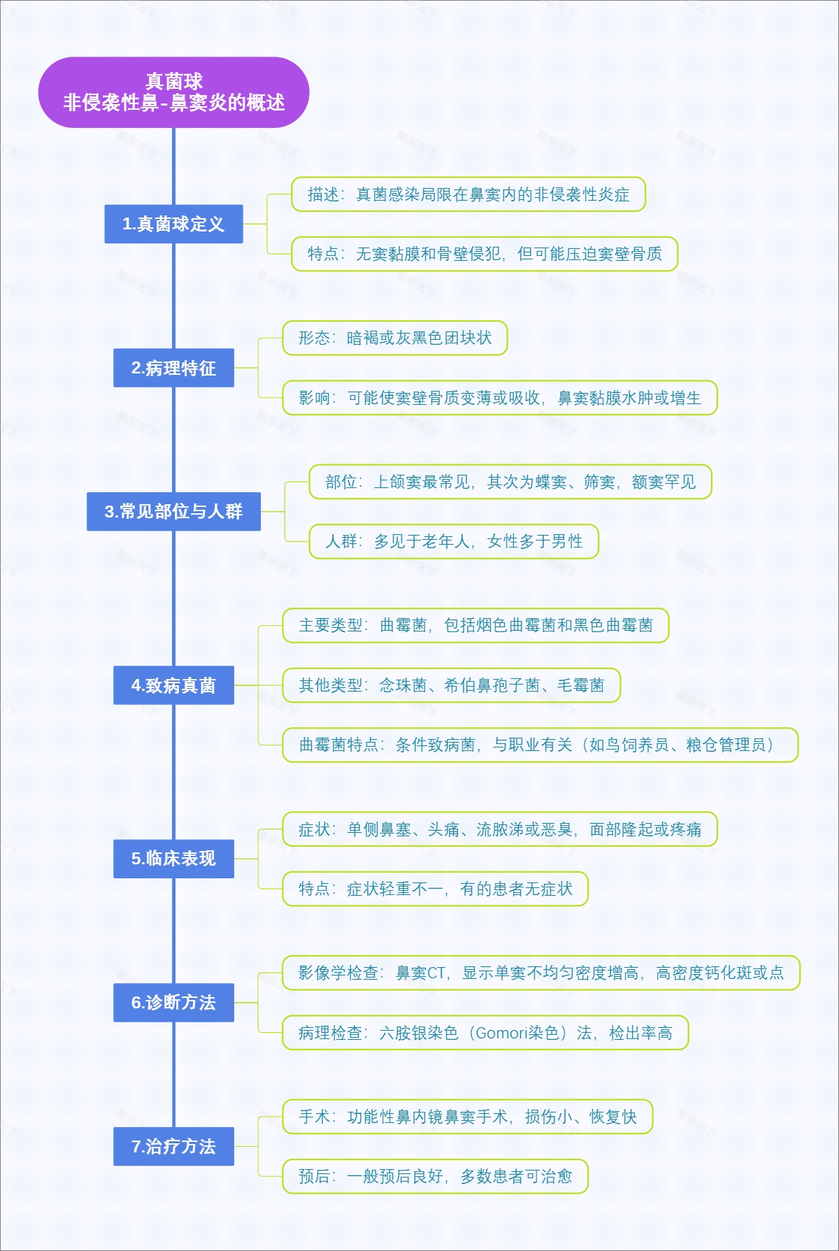 真菌球：非侵袭性鼻-鼻窦炎的概述