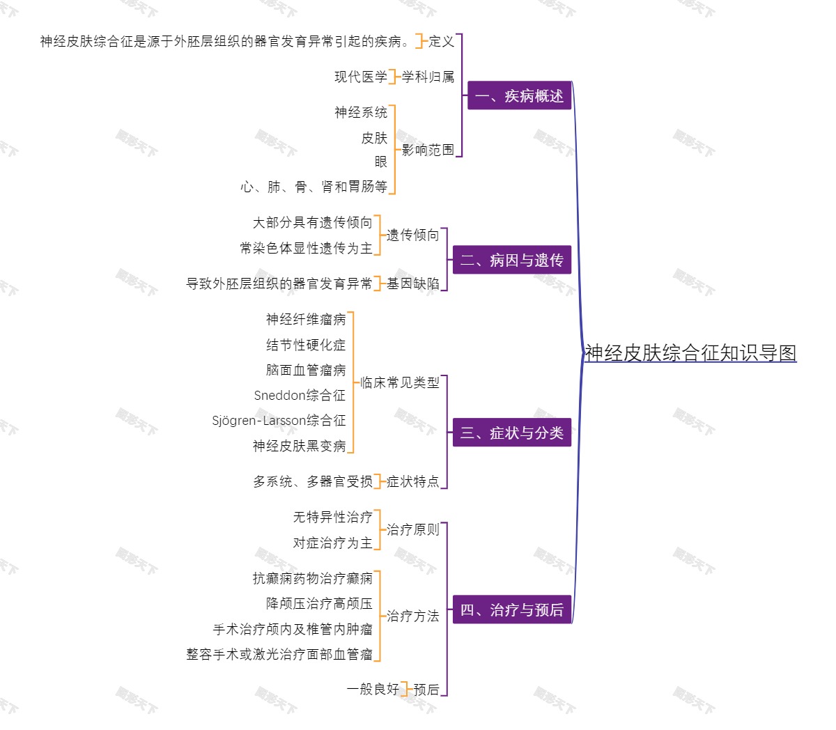 神经皮肤综合征知识导图