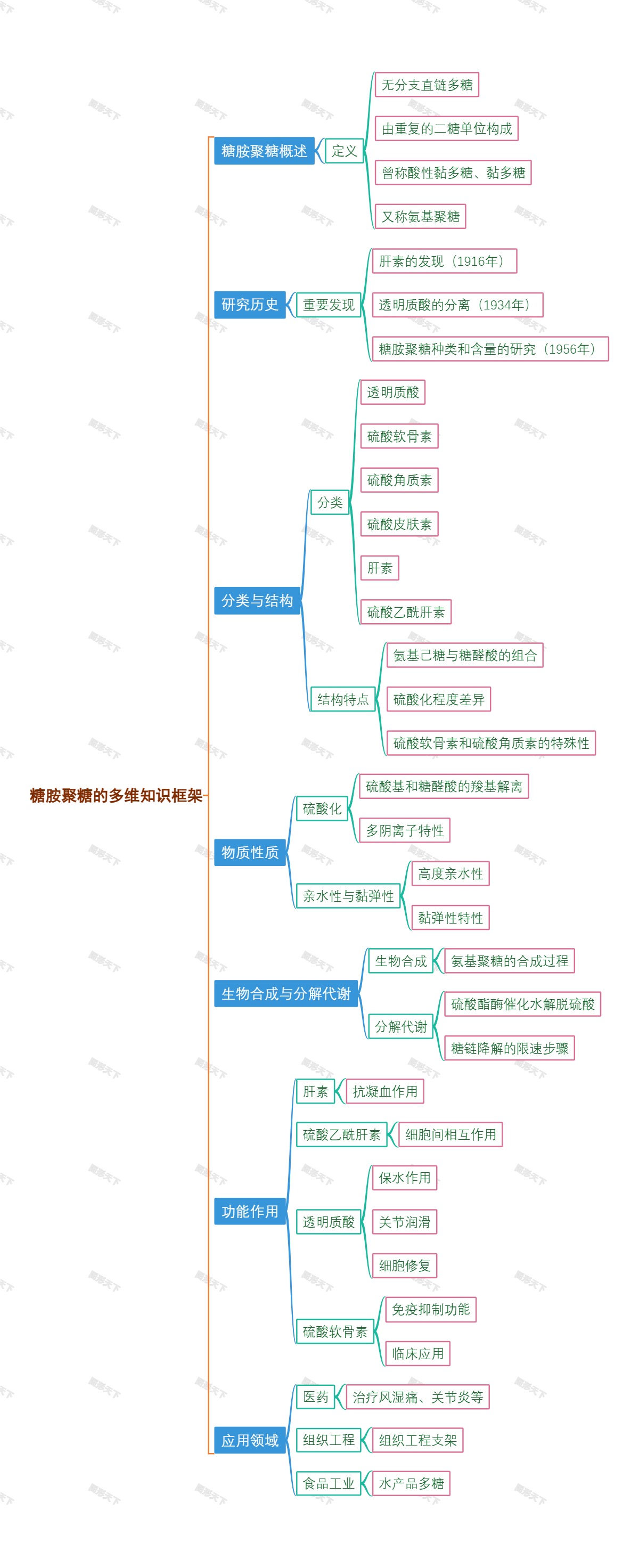 糖胺聚糖的多维知识框架