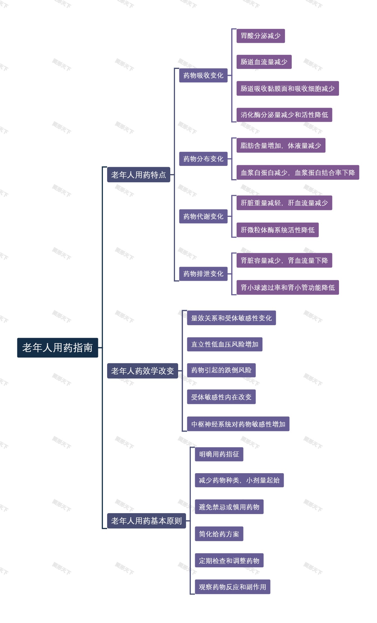 老年人用药指南