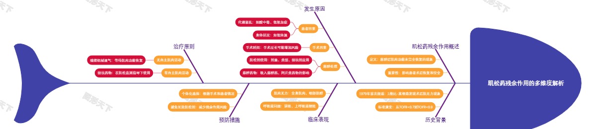 肌松药残余作用的多维度解析