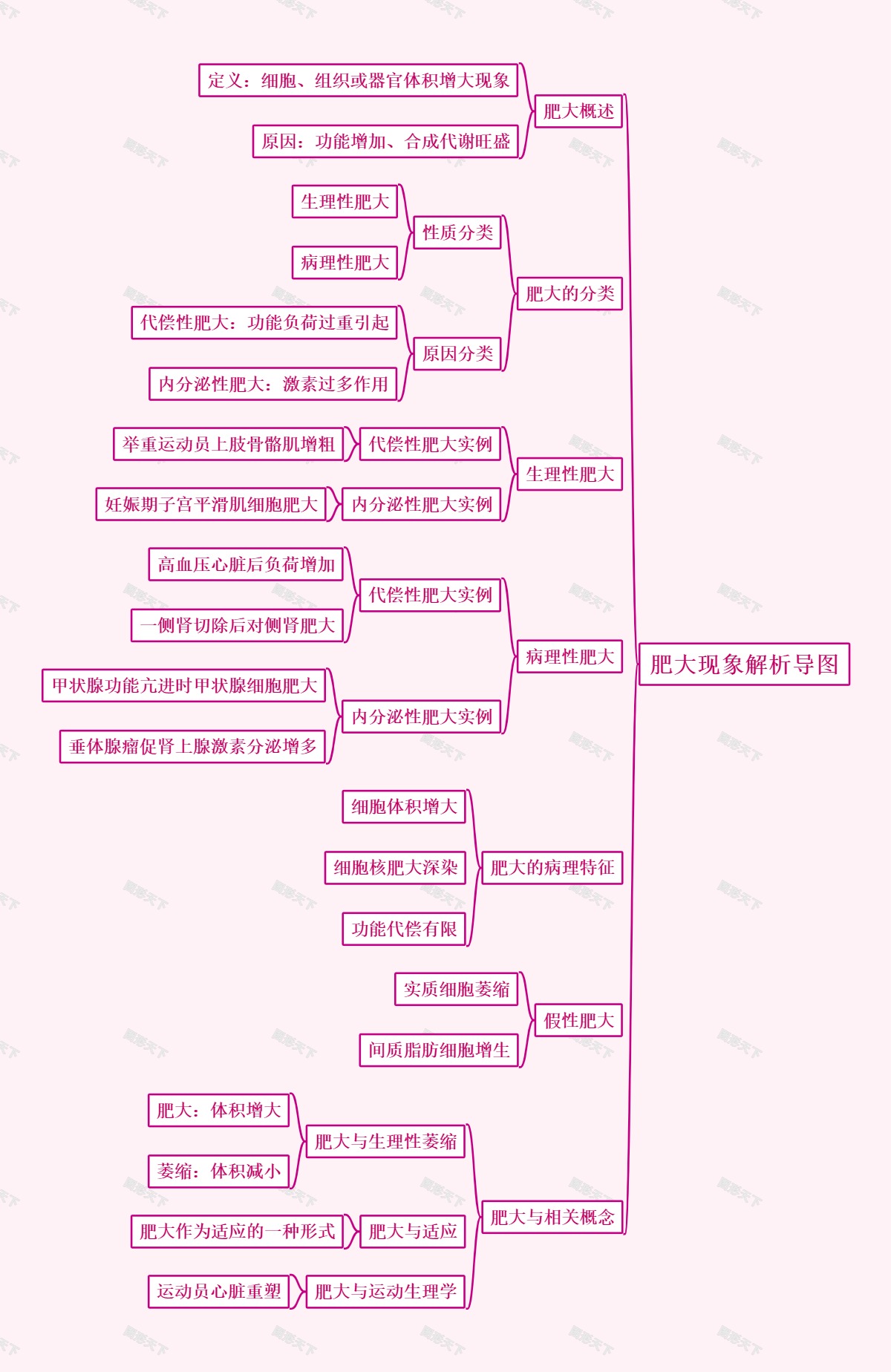肥大现象解析导图