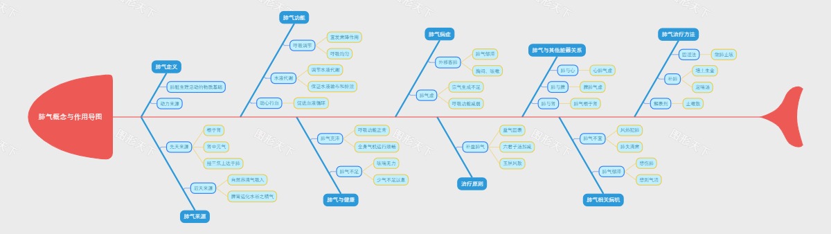 肺气概念与作用导图