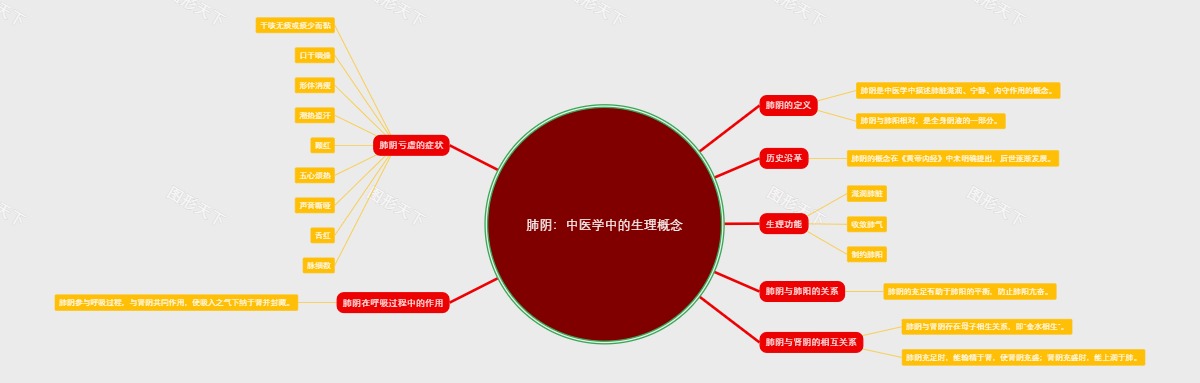 肺阴：中医学中的生理概念