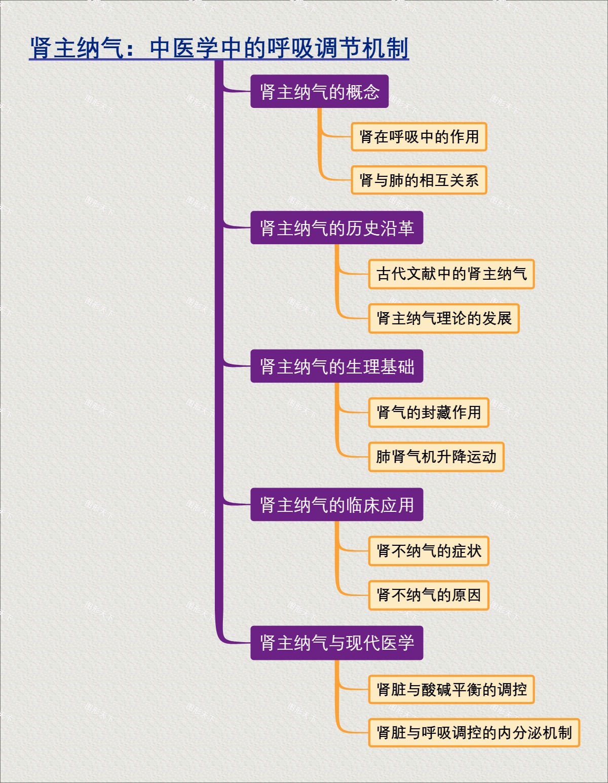 肾主纳气：中医学中的呼吸调节机制