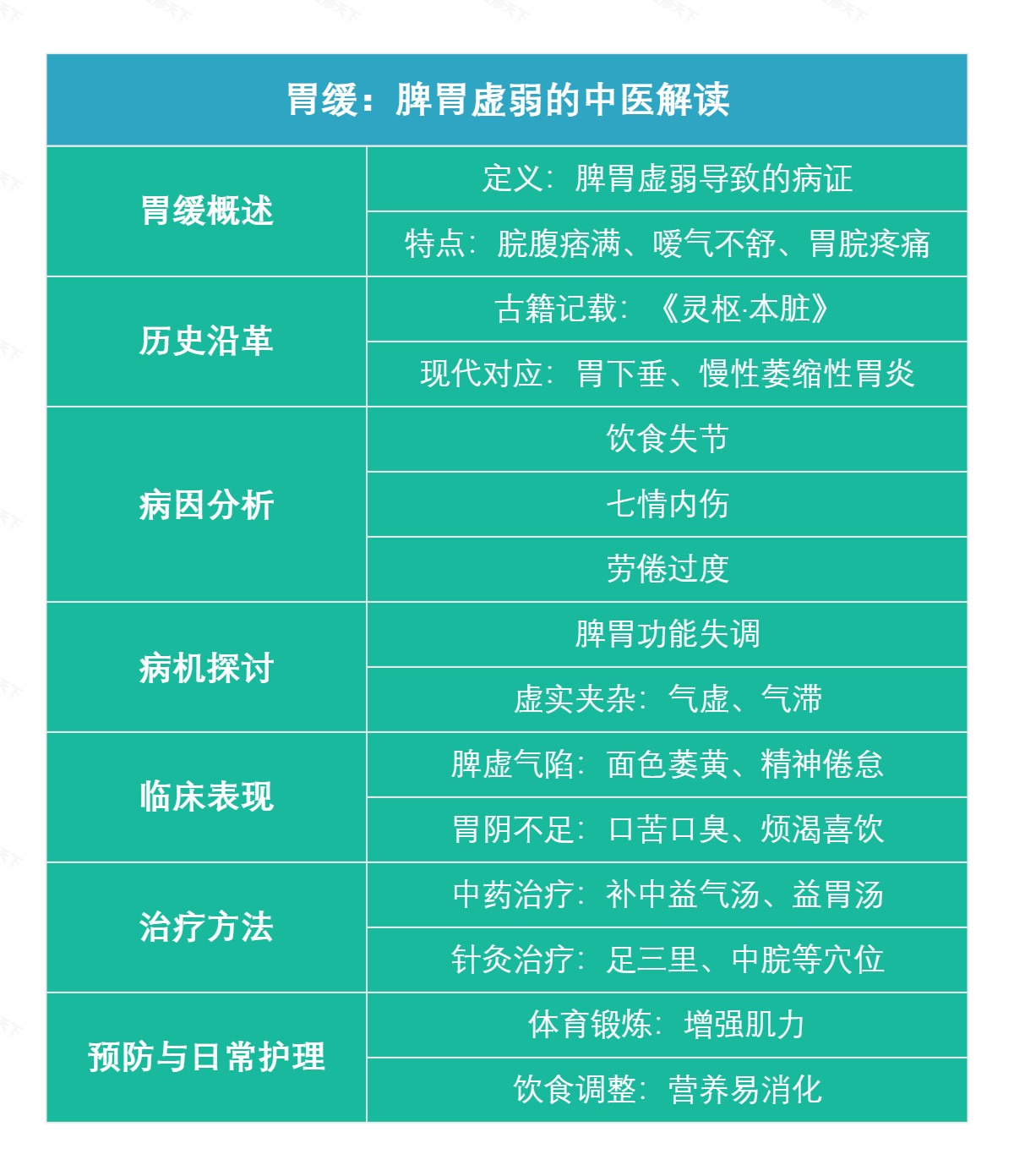 胃缓：脾胃虚弱的中医解读