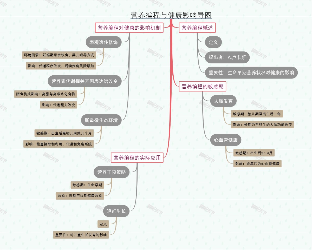 营养编程与健康影响导图