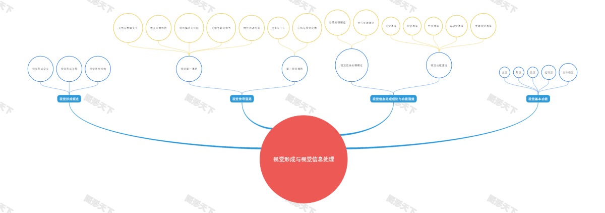 视觉形成与视觉信息处理