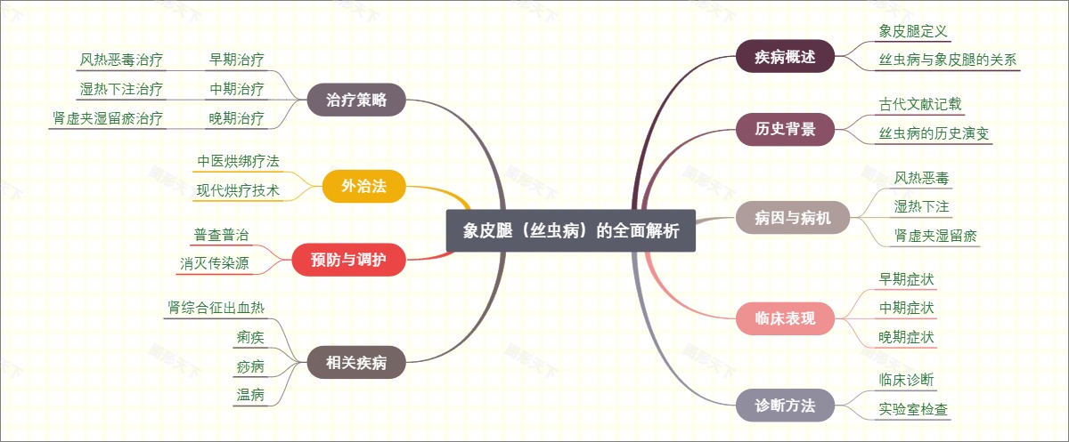 象皮腿（丝虫病）的全面解析