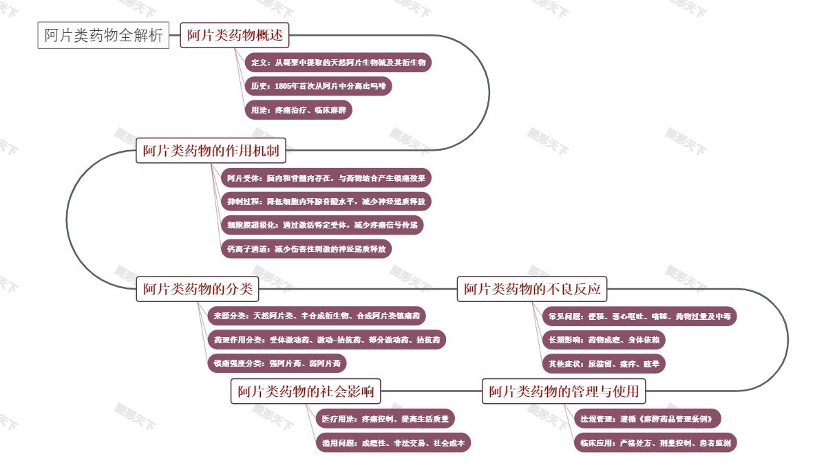 阿片类药物全解析