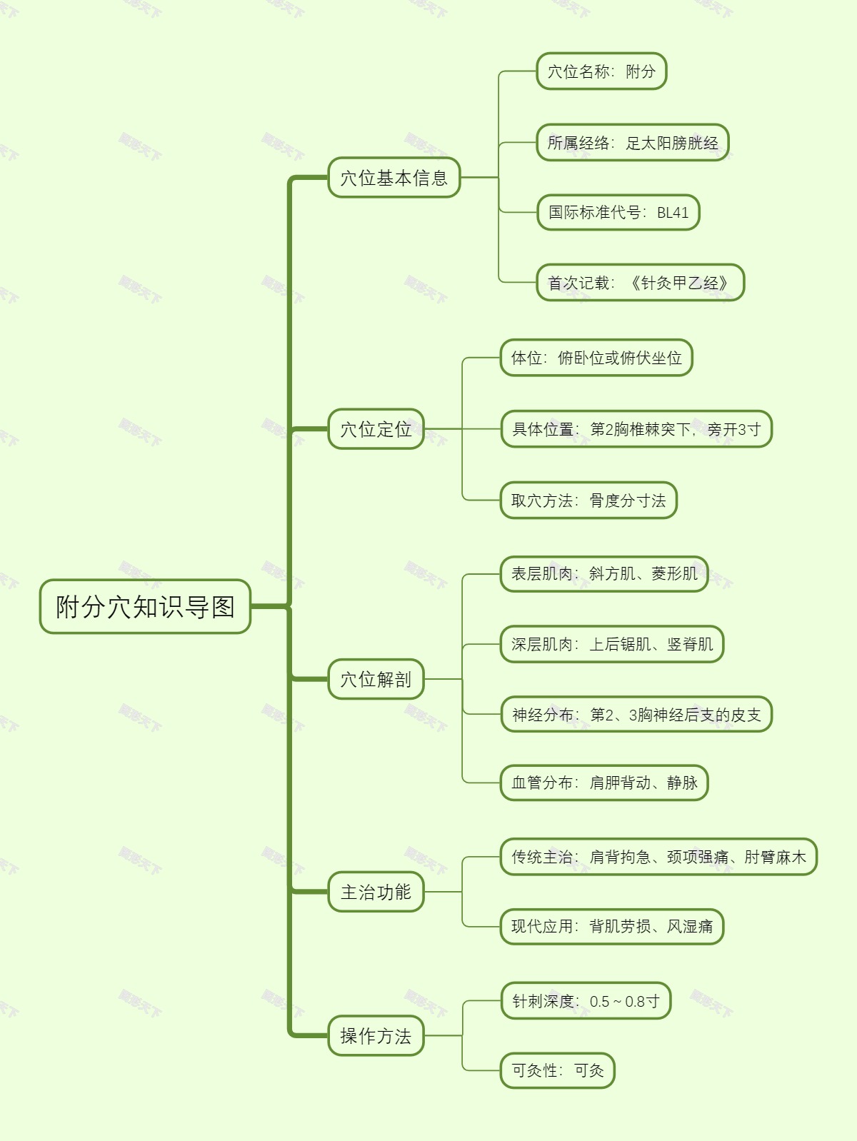 附分穴知识导图