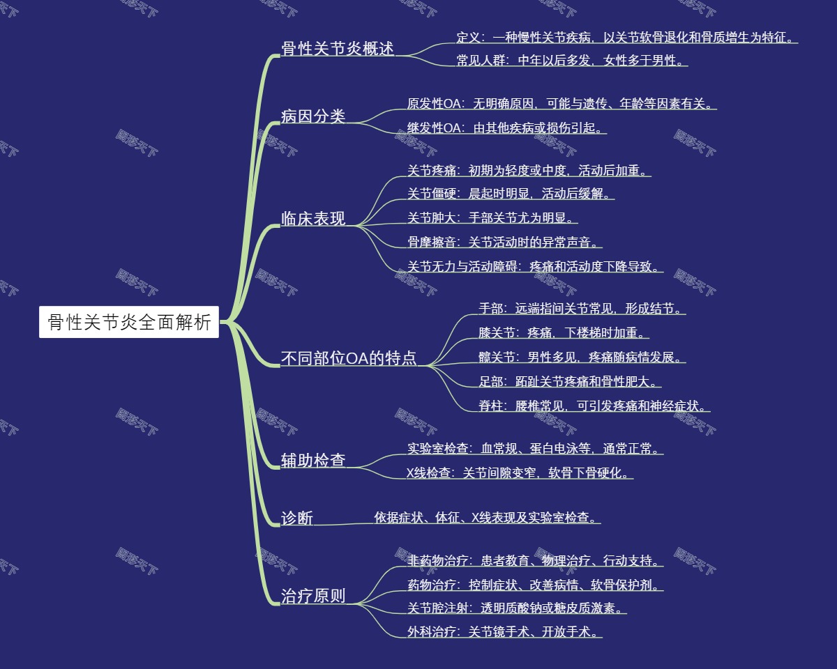 骨性关节炎全面解析
