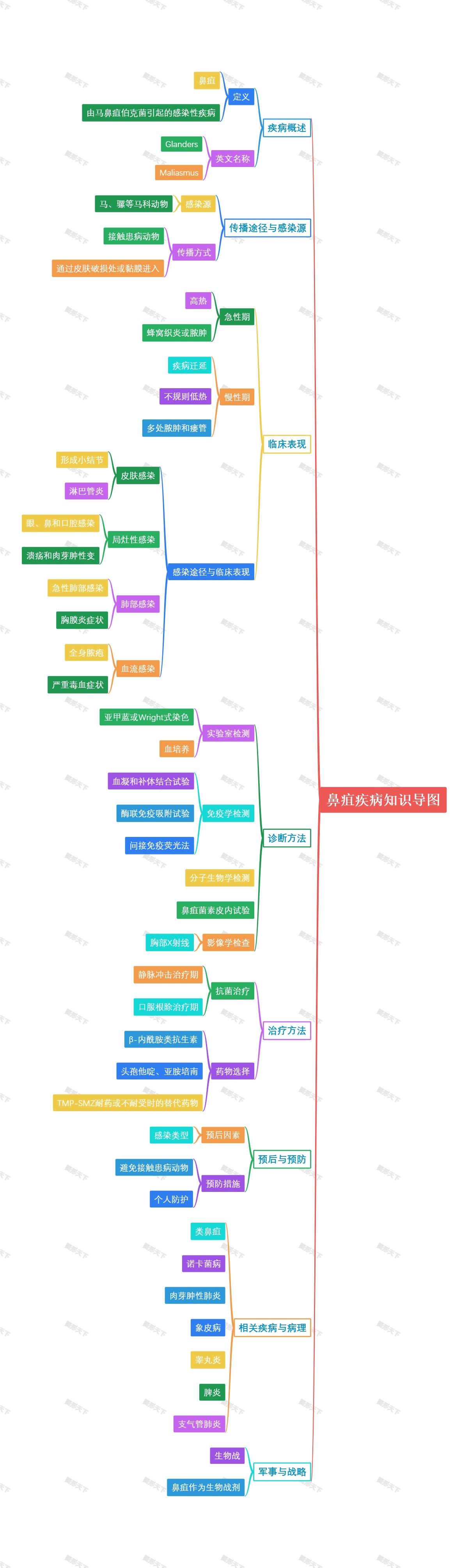 鼻疽疾病知识导图