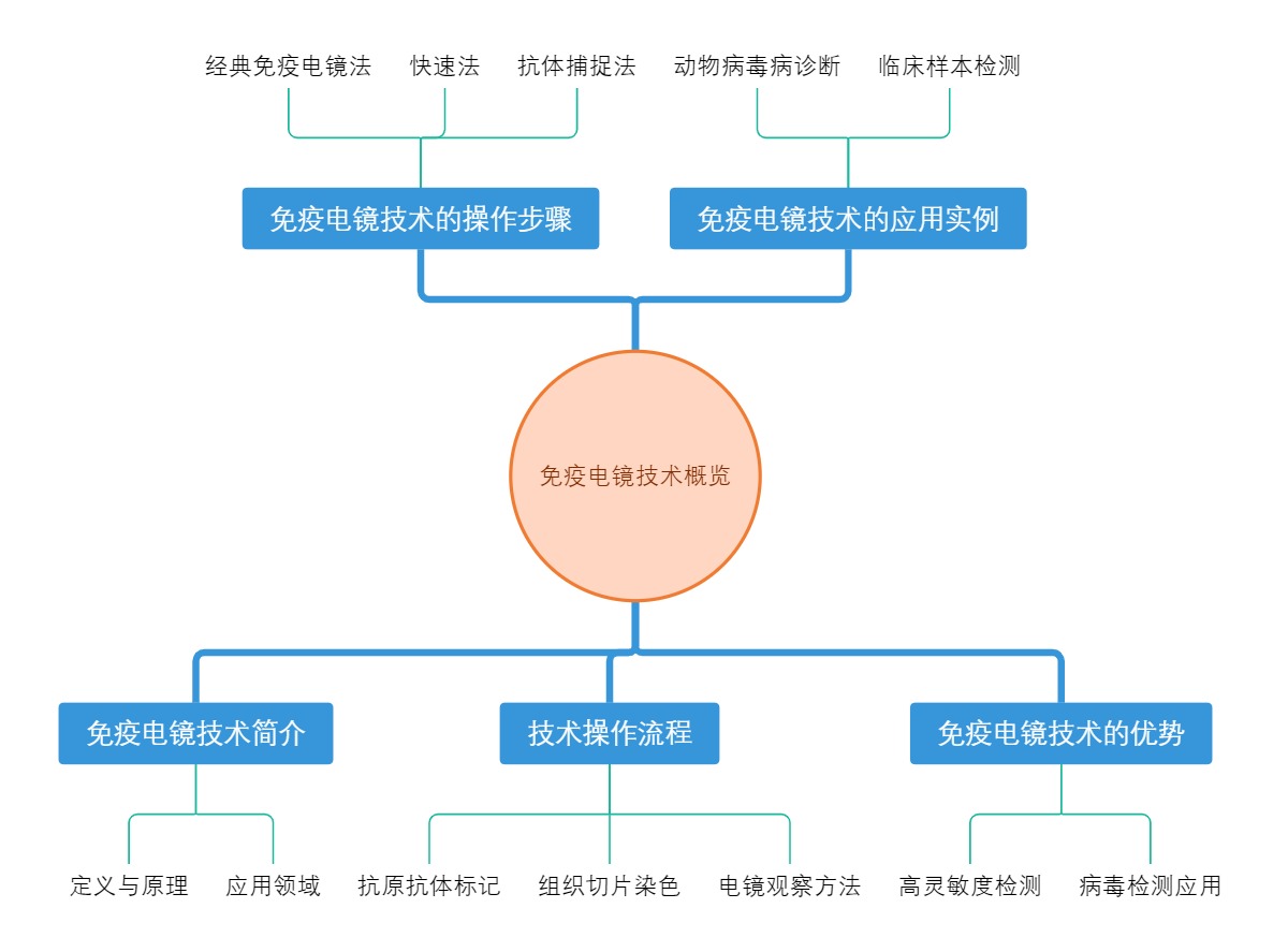免疫电镜技术概览