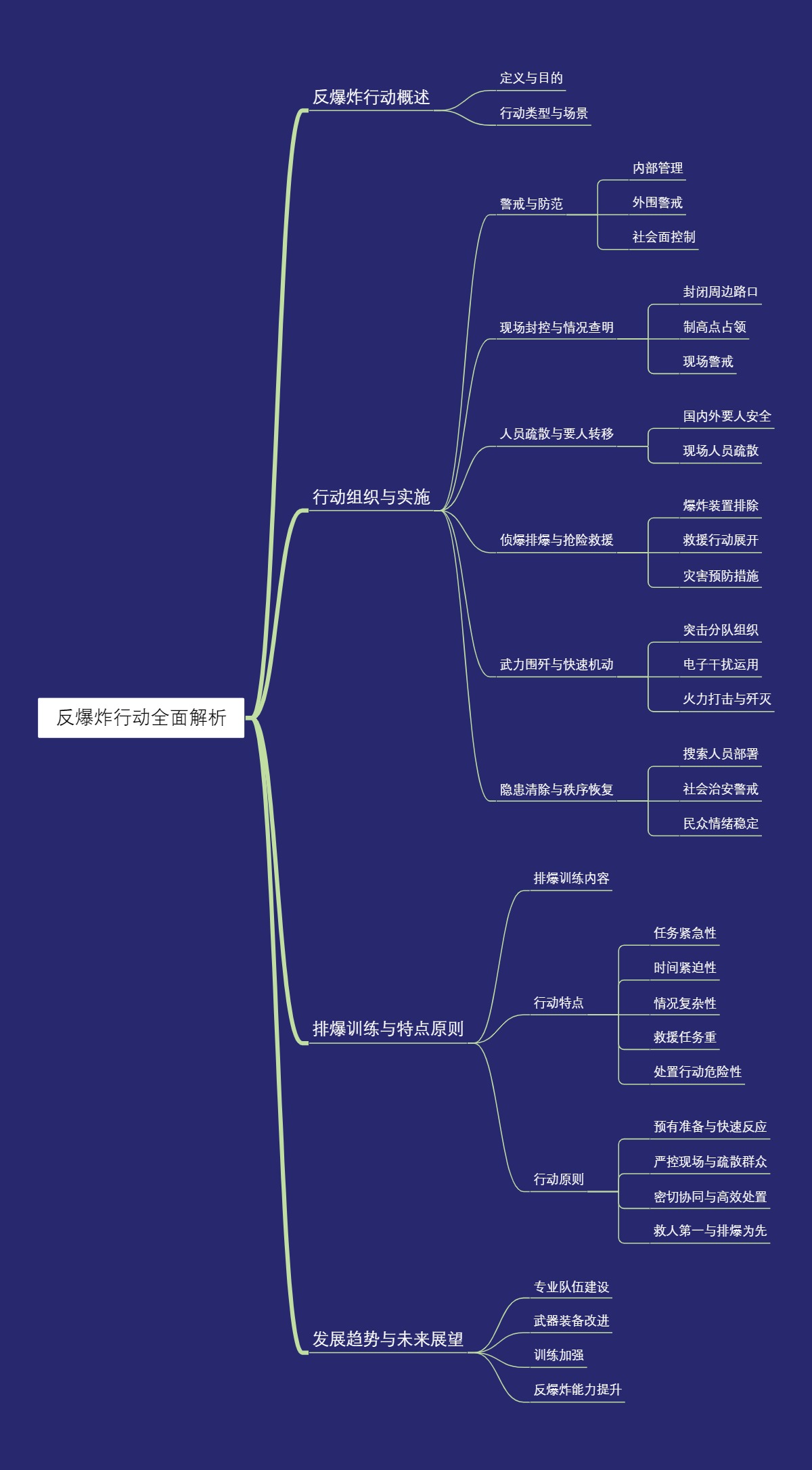 反爆炸行动全面解析