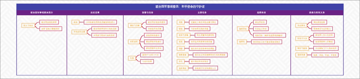 联合国军事观察员：和平使命的守护者