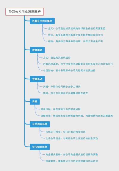 外部公司创业深度解析