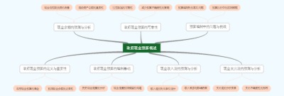 政府现金预算概述