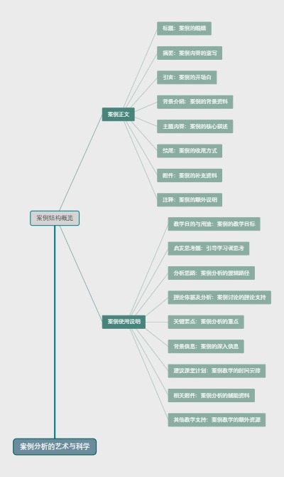 案例分析的艺术与科学