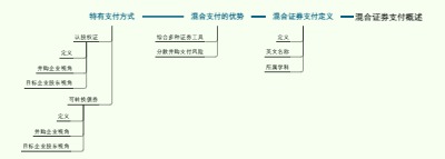 混合证券支付概述