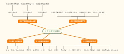 社会治理组织概览