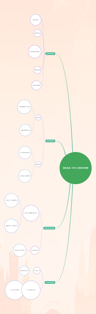 财务总监（CFO）的角色与职责