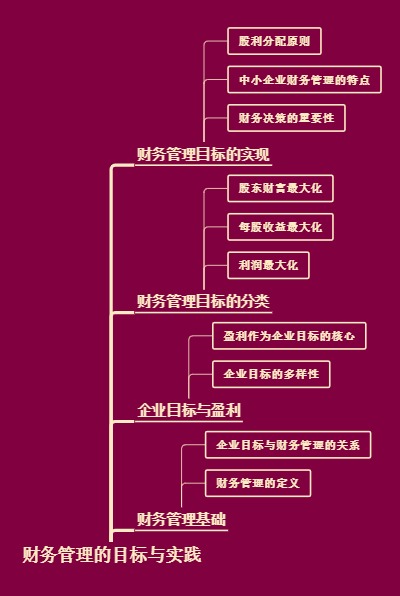 财务管理的目标与实践