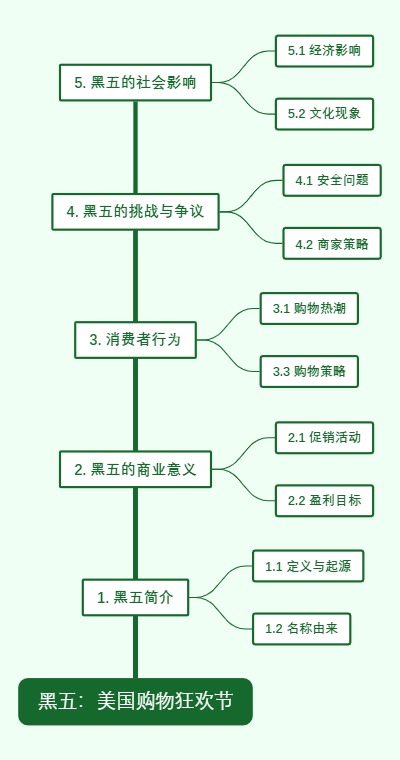 黑五：美国购物狂欢节