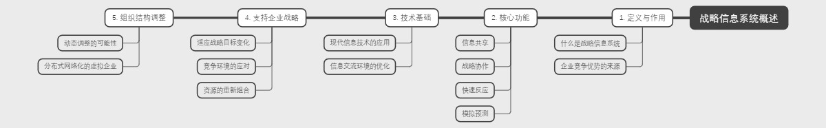 战略信息系统概述