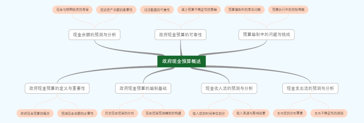 政府现金预算概述